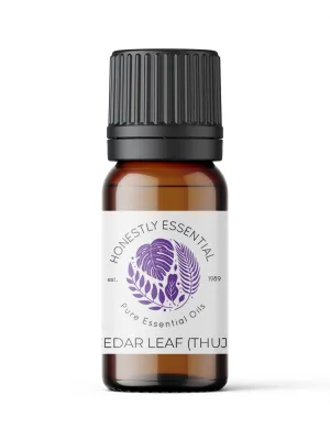 Cedar Leaf (Thuja) Essential Oil