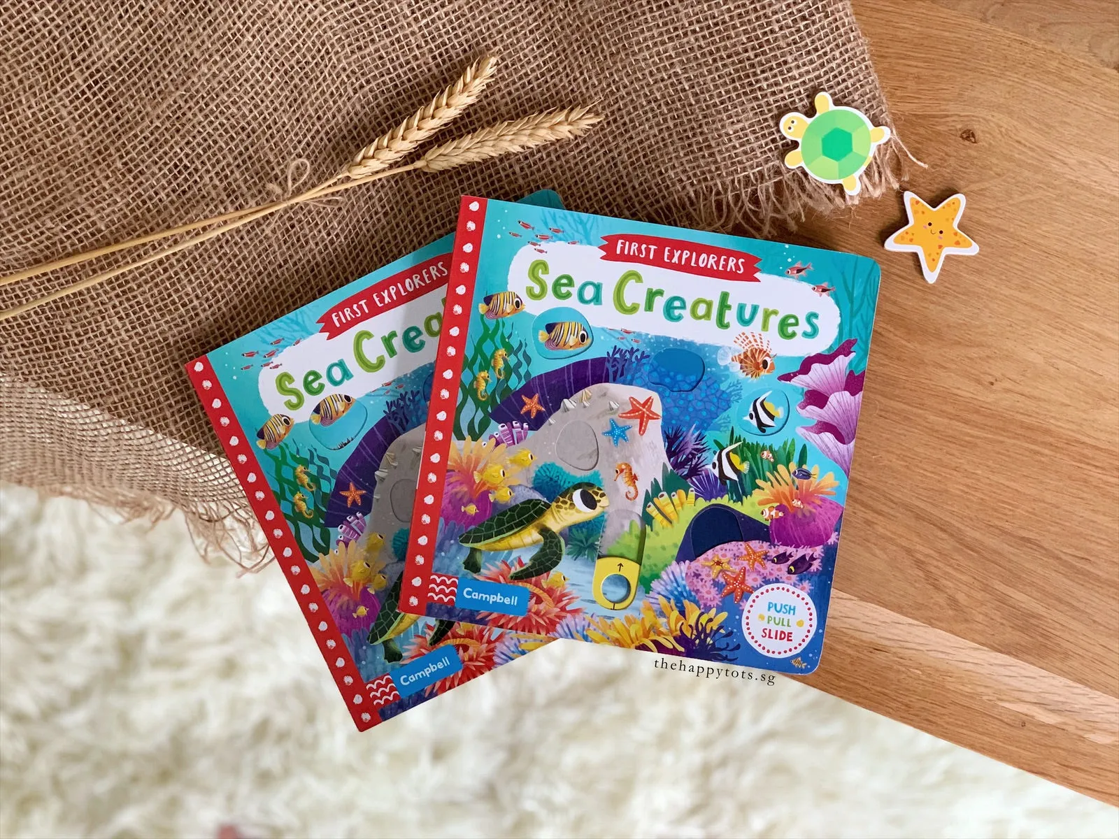 First Explorers: Sea Creatures