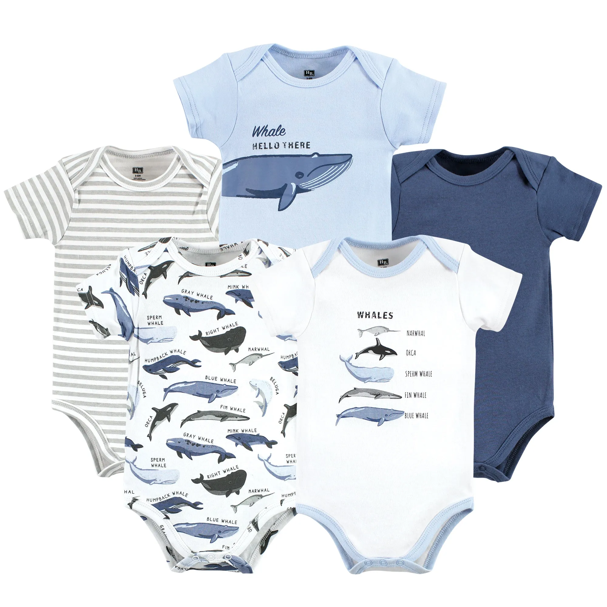 Hudson Baby Cotton Bodysuits, Boy Whale Types