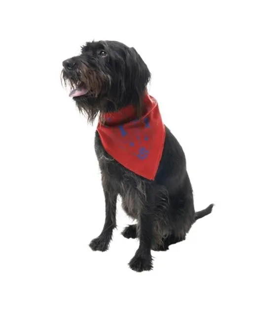 Insect Shield Paisley Flea & Tick Repellent Bandana for Dogs (Poppy)