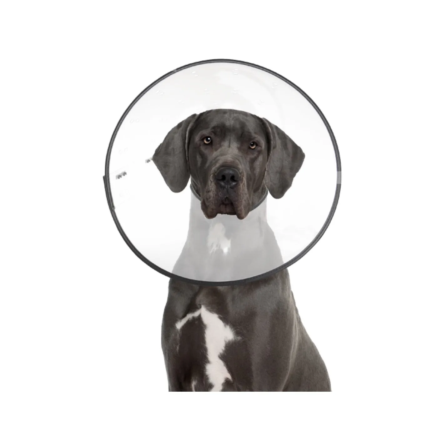 ZenPet E-Clear Recovery Collar